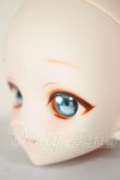 画像3: DDH-10/カスタムヘッド A-26-08-17-356-NY-ZA (3)
