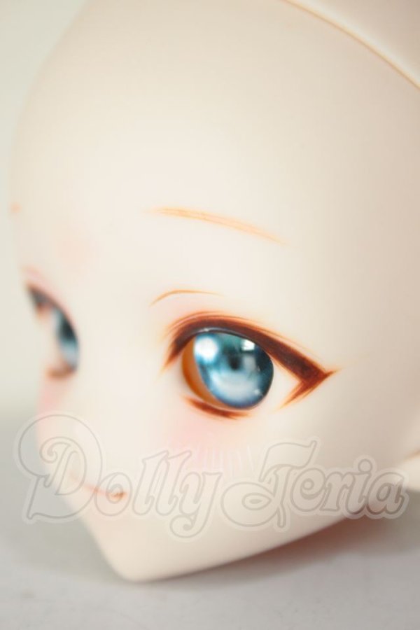 画像3: DDH-10/カスタムヘッド A-26-08-17-356-NY-ZA (3)