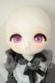 画像2: TinyFox/Caudatus　カルディス A-26-08-24-102-NY-ZA (2)