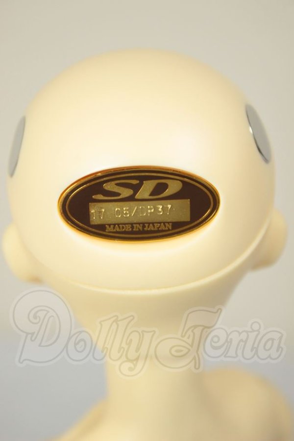 画像4: SDC/黒猫ルネ A-26-08-31-331-NY-ZA (4)