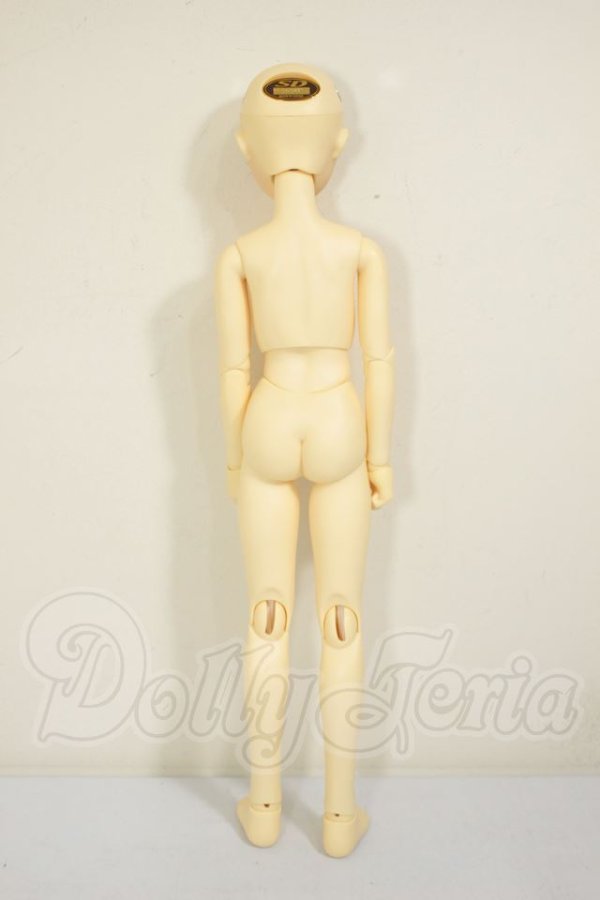 画像6: SDC/黒猫ルネ A-26-08-31-331-NY-ZA (6)