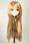 画像2: 1/6サイズ/カスタムヘッド A-26-08-24-235-NY-ZA (2)