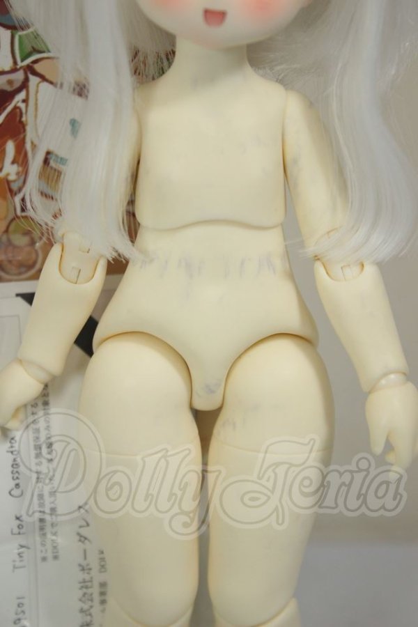 画像8: TinyFox/Cassandra A-26-08-24-251-NY-ZA (8)