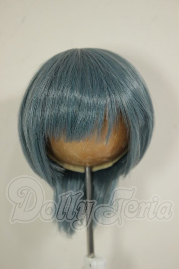 画像1: 8-9inch/ウィッグ A-26-08-24-263-NY-ZA (1)