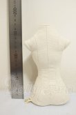 画像2: MDD/トルソー A-26-08-24-339-NY-ZA (2)