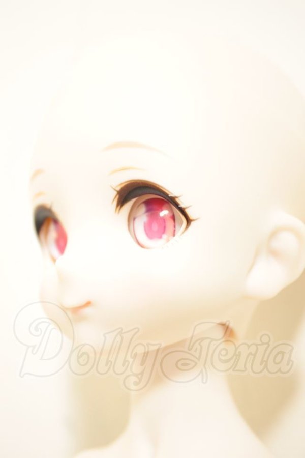 画像4: MDD/ドリームチョイス DC-H-19 A-26-08-31-206-NY-ZA (4)