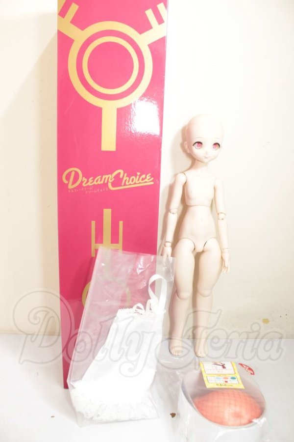 画像5: MDD/ドリームチョイス DC-H-19 A-26-08-31-206-NY-ZA (5)