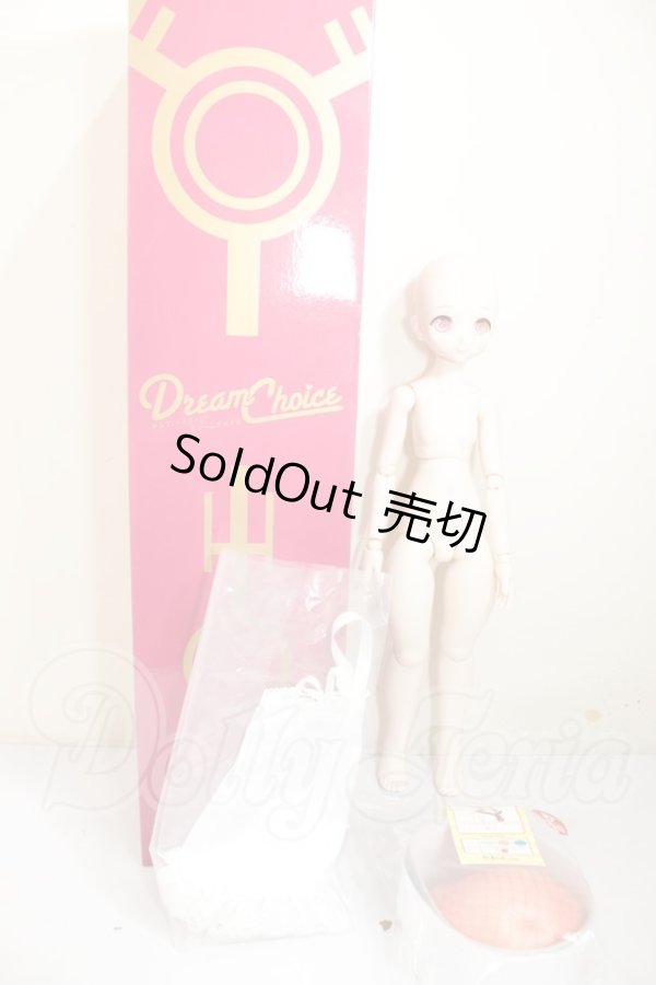 画像5: MDD/ドリームチョイス DC-H-19 A-26-08-31-206-NY-ZA (5)