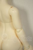 画像3: XAGADOLL/1/4 Girl Body(X-F-40) A-26-08-31-339-NY-ZA (3)