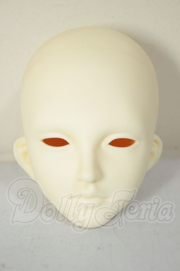 画像1: 傲??（アオリンシー）/?? Lynn Head A-26-08-31-336-NY-ZA (1)