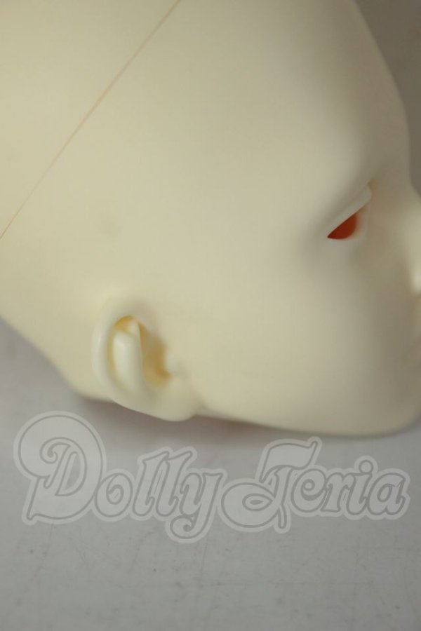 画像5: 傲??（アオリンシー）/?? Lynn Head A-26-08-31-336-NY-ZA (5)