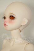 画像3: Asleep Eidolon/困困 A-26-08-24-353-NY-ZA (3)