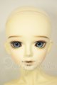 画像: BJD CROBI/R-line ZION A-26-08-31-105-NY-ZA