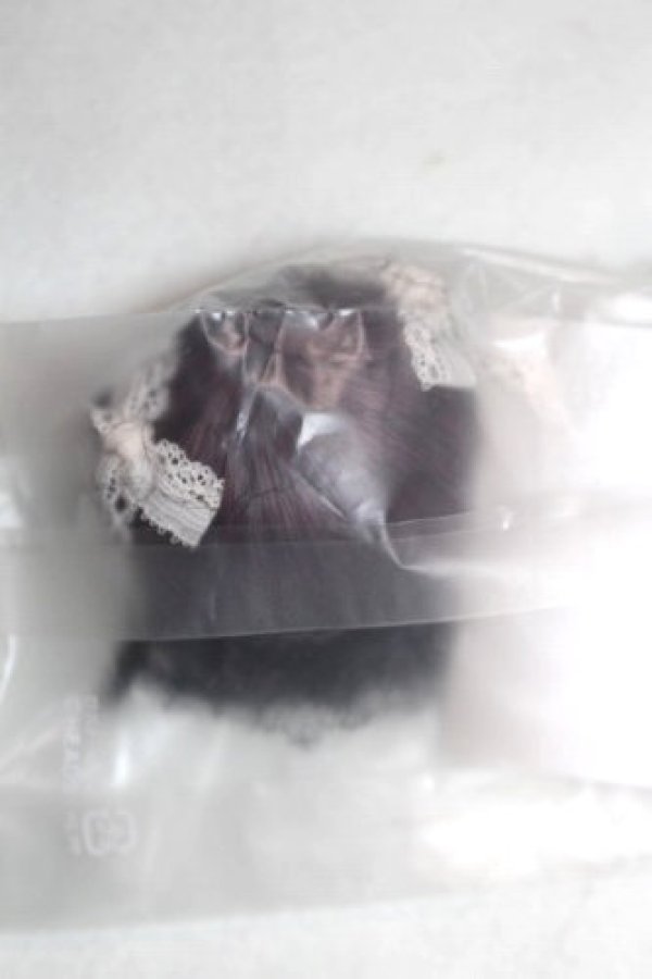 画像2: 4inch/ウィッグ/インチ　BJD　MJD　ドール用 A-26-09-28-003-NY-ZA (2)