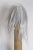 画像2: 4inch/ウィッグ/インチ　BJD　MJD　ドール用 A-26-09-28-010-NY-ZA (2)