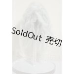 画像: 4inch/ウィッグ A-26-09-07-337-NY-ZA