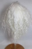 画像2: 8-9inch/ウィッグ/インチ　BJD　MJD　ドール用 A-26-09-21-069-NY-ZA (2)