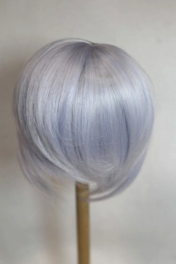 画像2: 8-9inch/ウィッグ/インチ　BJD　MJD　ドール用 A-26-09-21-070-NY-ZA (2)