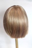画像2: 8-9inch/ウィッグ/インチ　BJD　MJD　ドール用 A-26-09-21-068-NY-ZA (2)