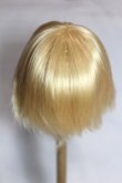 画像2: 8-9inch/ウィッグ/インチ　BJD　MJD　ドール用 A-26-09-21-072-NY-ZA (2)