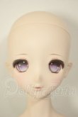 画像1: DD/D'COORD：DDH-11ヘッド A-26-08-31-104-NY-ZA (1)