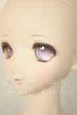 画像3: DD/D'COORD：DDH-11ヘッド A-26-08-31-104-NY-ZA (3)