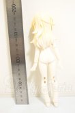 画像3: ニャニャニャ次元/茶トラ猫　VIVI（ヴィヴィ／??） A-26-08-31-254-NY-ZA (3)