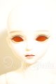 画像: Myoudoll /Delia 1/4 A-26-08-31-313-NY-ZA