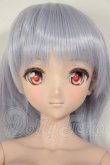 画像1: DDdyF3ボディ/DDH-09ヘッド　ドリームチョイス A-26-09-07-102-NY-ZA (1)