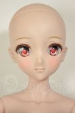 画像2: DDdyF3ボディ/DDH-09ヘッド　ドリームチョイス A-26-09-07-102-NY-ZA (2)