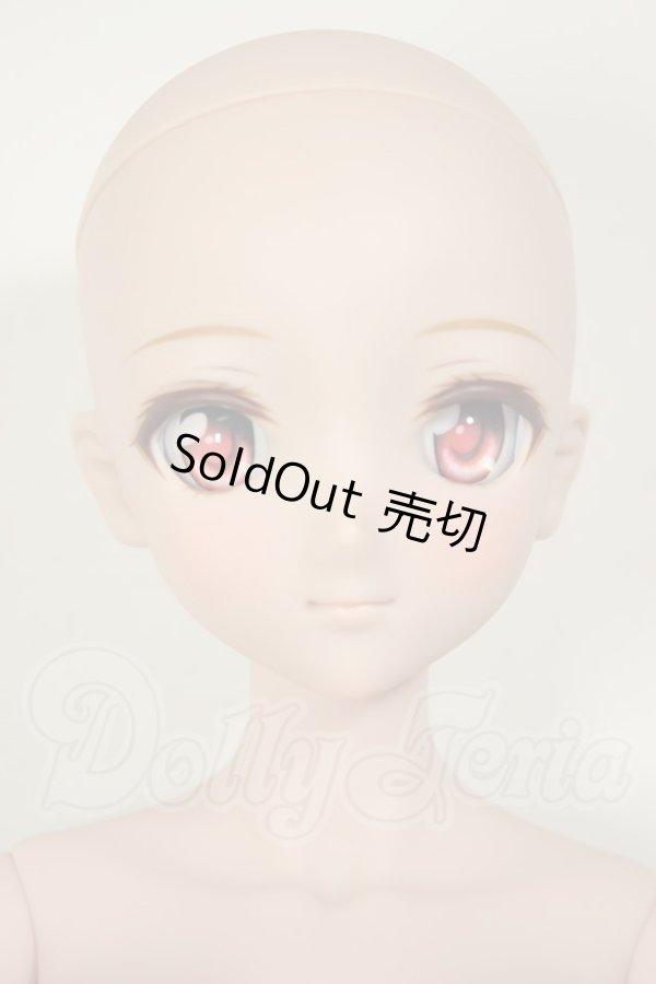 画像2: DDdyF3ボディ/DDH-09ヘッド　ドリームチョイス A-26-09-07-102-NY-ZA (2)