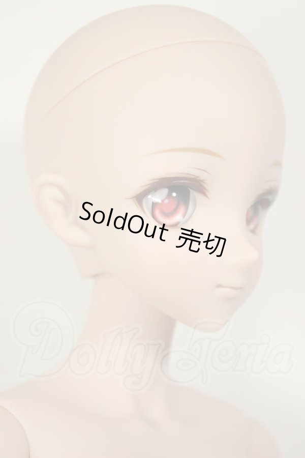 画像3: DDdyF3ボディ/DDH-09ヘッド　ドリームチョイス A-26-09-07-102-NY-ZA (3)