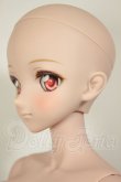 画像4: DDdyF3ボディ/DDH-09ヘッド　ドリームチョイス A-26-09-07-102-NY-ZA (4)