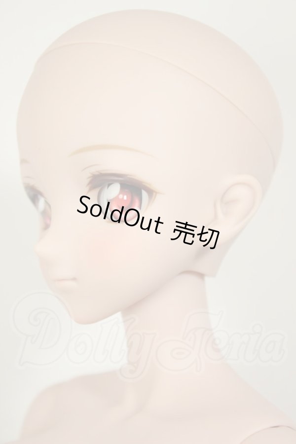 画像4: DDdyF3ボディ/DDH-09ヘッド　ドリームチョイス A-26-09-07-102-NY-ZA (4)
