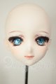 画像: DDH-09/カスタムヘッド A-26-09-07-106-NY-ZA