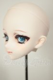 画像3: DDH-09/カスタムヘッド A-26-09-07-106-NY-ZA (3)