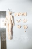 画像2: 約11ｃｍ/女性ボディ A-26-09-07-127-NY-ZA (2)