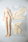 画像1: 約16ｃｍ/女性ボディ A-26-09-07-144-NY-ZA (1)