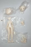 画像1: 造物ノ心/ボディ・パーツ A-26-09-07-278-NY-ZA (1)