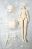 画像1: 造物ノ心/ボディ・パーツ A-26-09-07-146-NY-ZA (1)