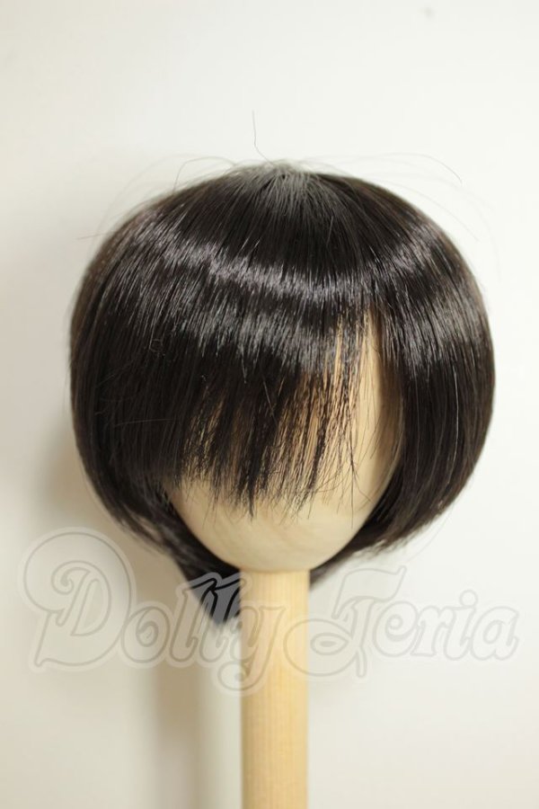 画像1: 9-10inch/ウィッグ A-26-09-07-111-NY-ZA (1)