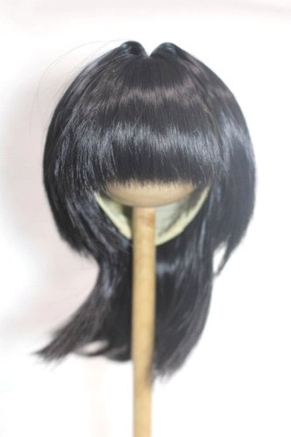 画像1: 8-9inch/ウィッグ/インチ　BJD　MJD　ドール用 A-26-09-21-002-NY-ZA (1)