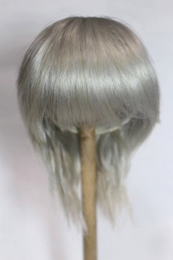 画像1: 8-9inch/ウィッグ/インチ　BJD　MJD　ドール用 A-26-09-21-024-NY-ZA (1)