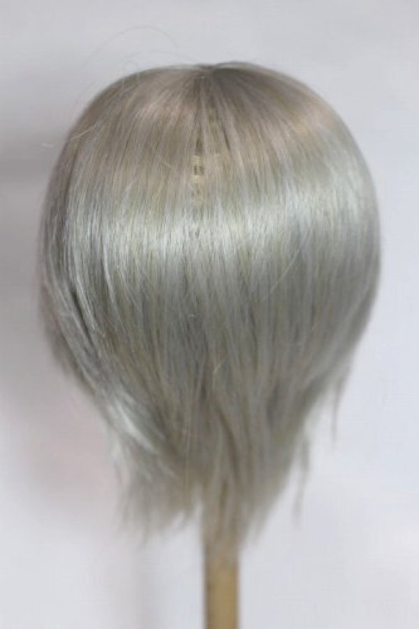 画像2: 8-9inch/ウィッグ/インチ　BJD　MJD　ドール用 A-26-09-21-024-NY-ZA (2)