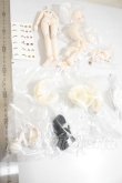 画像2: TENCYスタジオ「光と影：光翼学院」1/8 スケール BJDブラインドドール シリーズ A-26-09-07-386-NY-ZA (2)