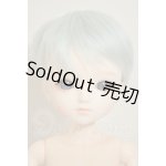 画像: アナと雪の女王 1/4サイズドール A-26-09-07-363-NY-ZA