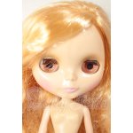 画像: ネオブライス/カスタム A-26-09-14-178-NY-ZA