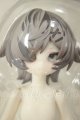 画像: ニャニャニャ次元/キジトラ A-26-09-14-175-NY-ZA