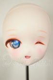 画像1: DDH-28/カスタムヘッド A-26-09-14-121-NY-ZA (1)