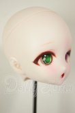 画像2: DDH-28/カスタムヘッド A-26-09-14-122-NY-ZA (2)